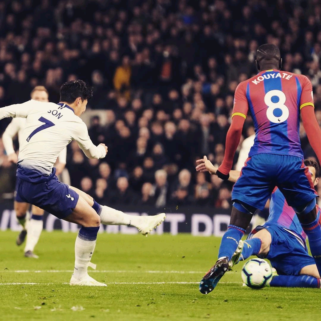 领域发展 领域发展